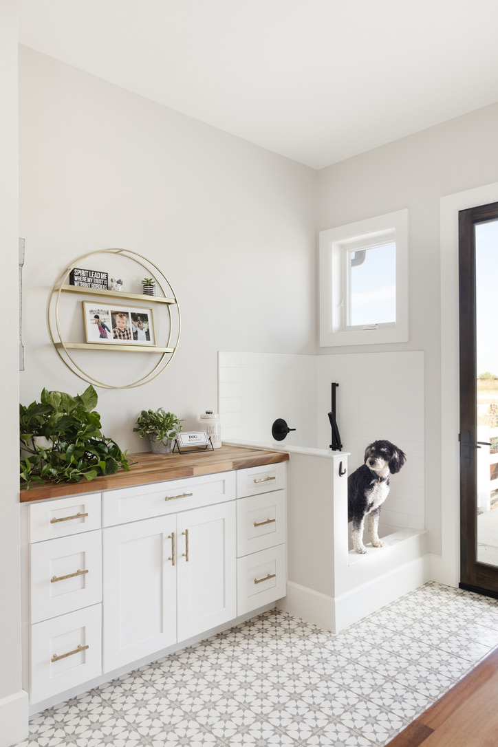louisville custom build dog bath